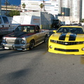 2010 11-05 Bumble Bee 12