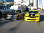 2010 11-05 Bumble Bee 12
