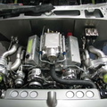 2008 09-07 kd (39).jpg